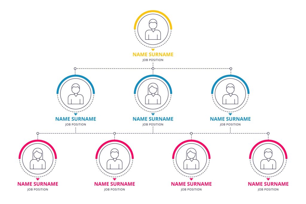 چارت سازمانی